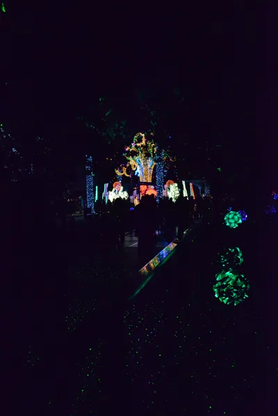 DSC_6968 (Large).JPG